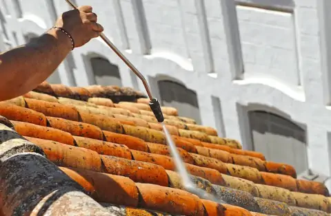 Nettoyage de toitures - Revel-Tourdan